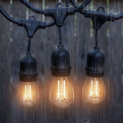 Gepersonaliseerde kleurgrootte LED-strenglicht voor buitenfestoontuind decoratie